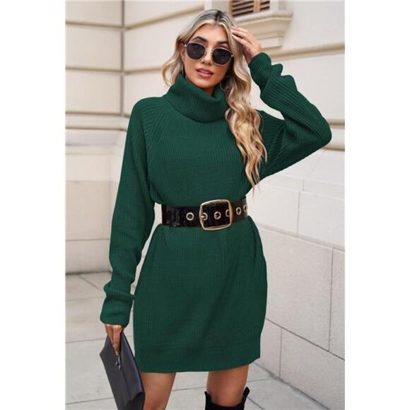 Pink Queen Women's Loose Turtleneck Oversize Long Pullover Sweater Dress - Picture 5 of 7